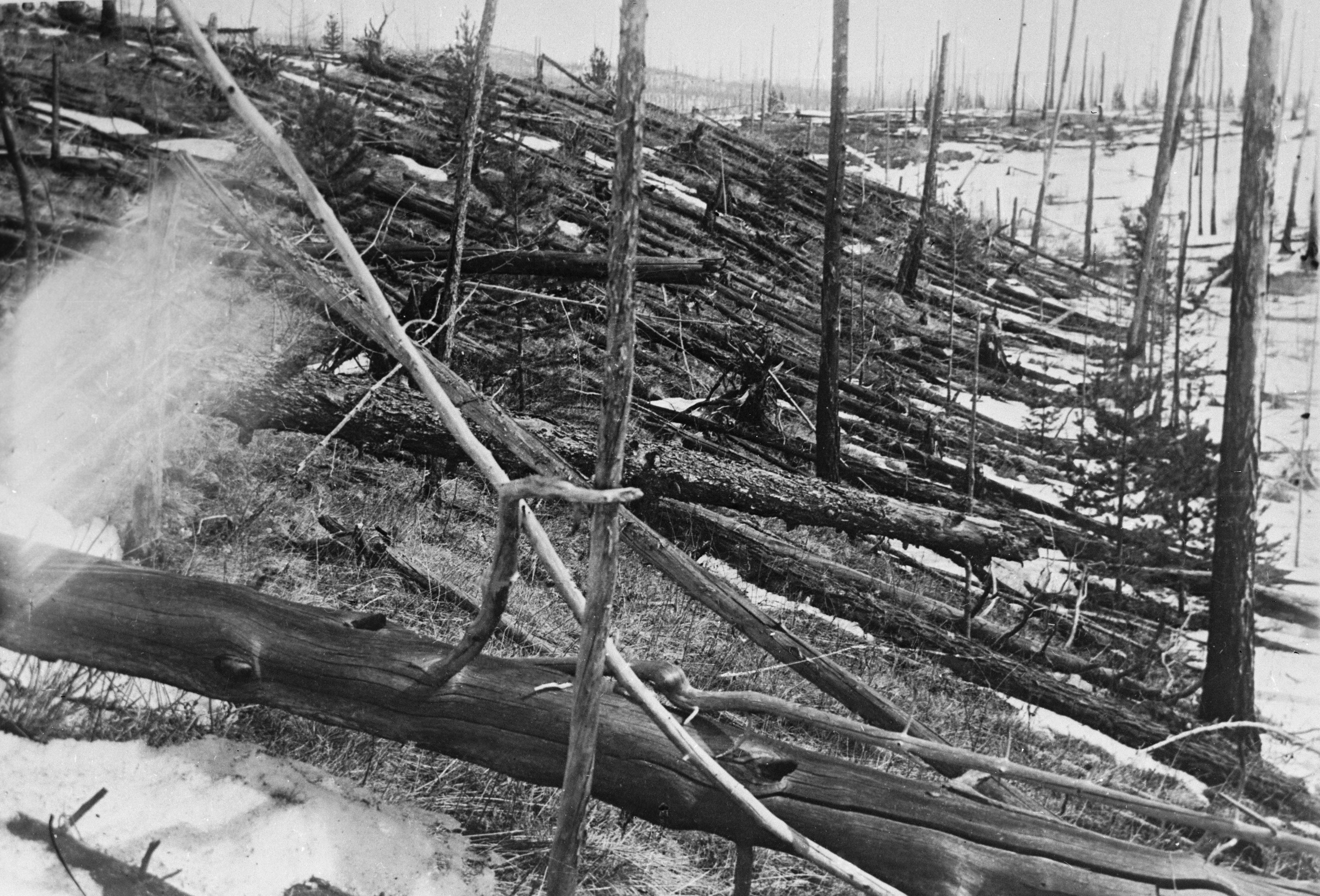 Patrón radial de árboles derribados y quemados en Tunguska tras la explosión de 1908